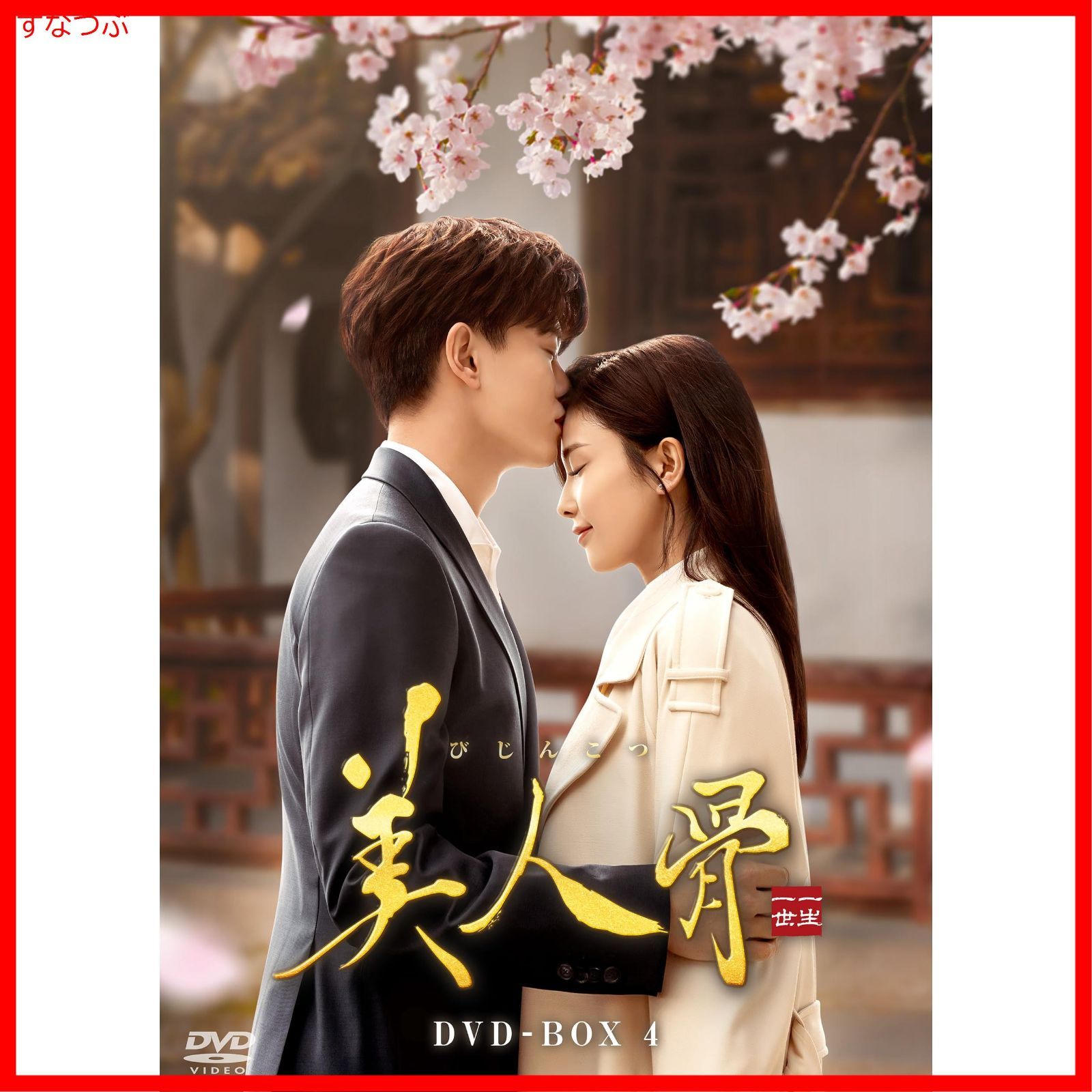 整形美人。DVD-BOX〈4枚組〉 DVD