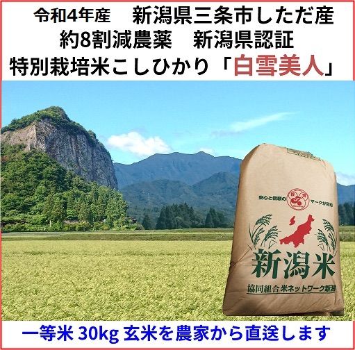 残り36袋 減農薬 新潟こしひかり玄米30kg 新潟県三条市旧しただ村産 令