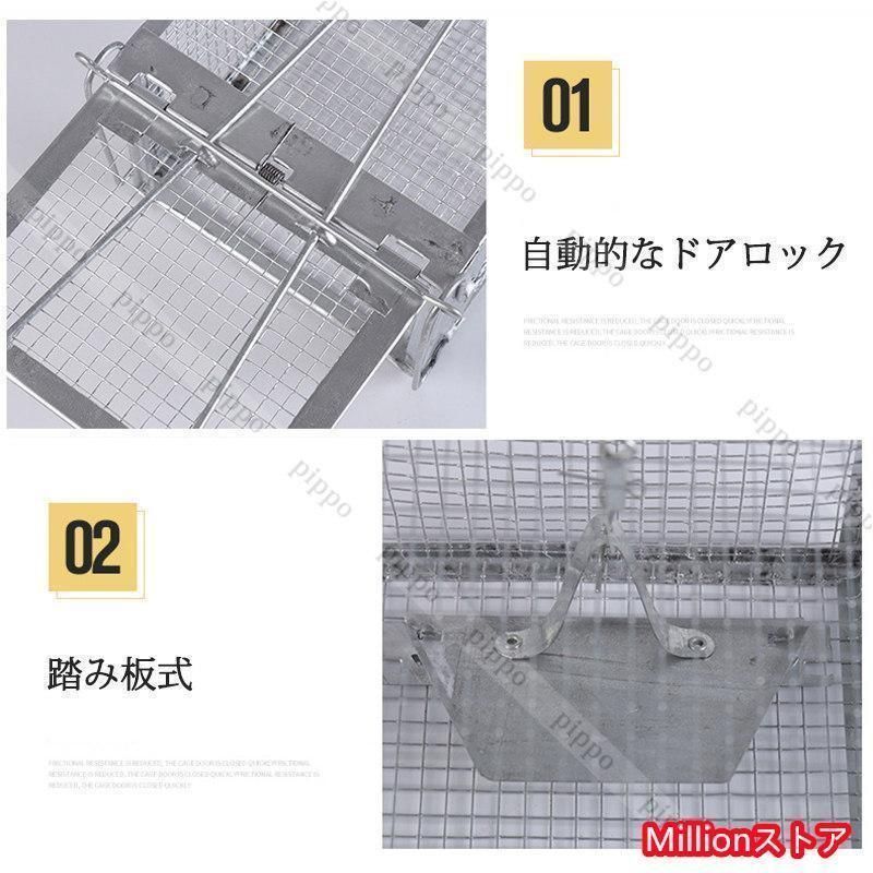 角型 大
