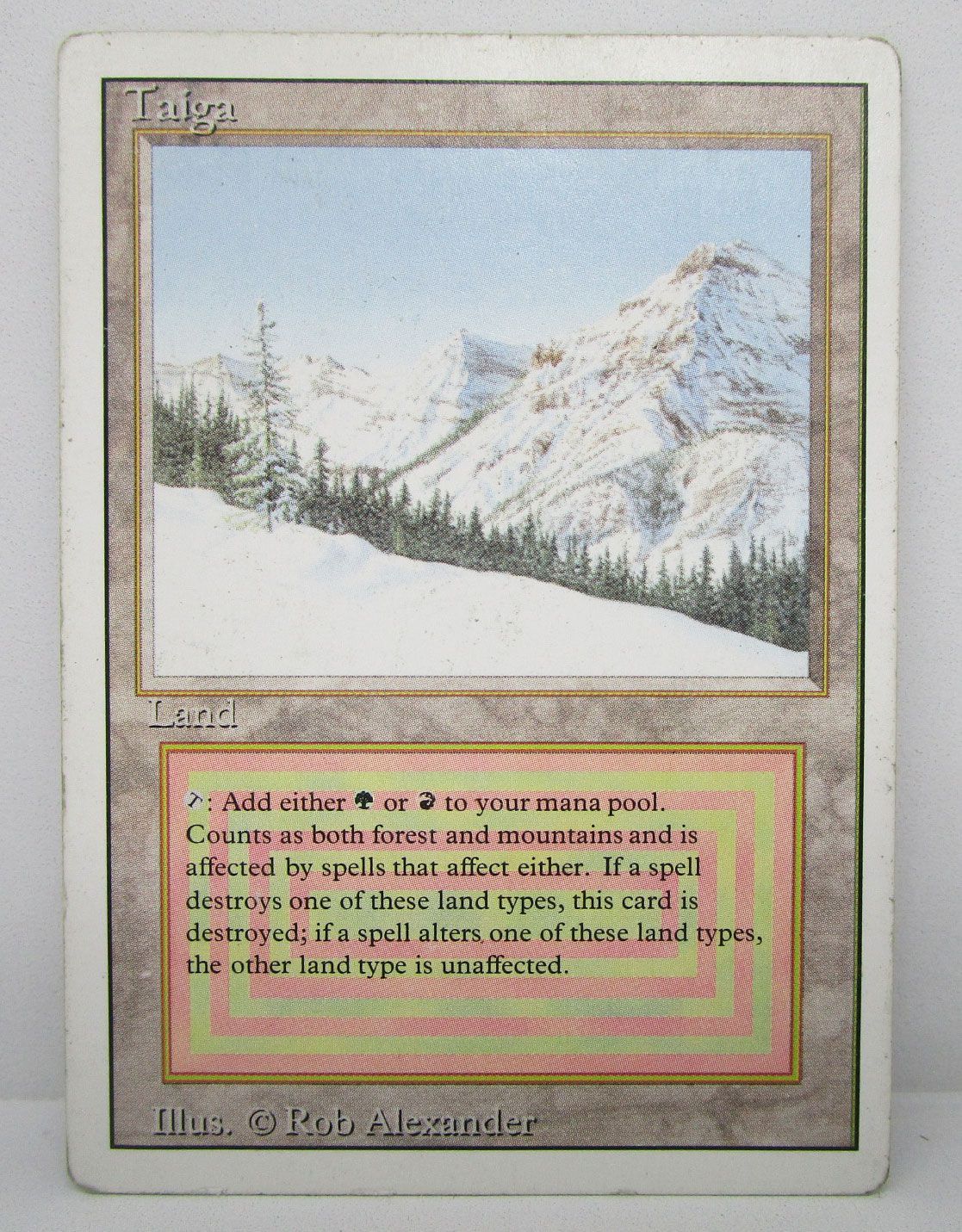 Taiga mtg 英語 MTG Taiga 英語版