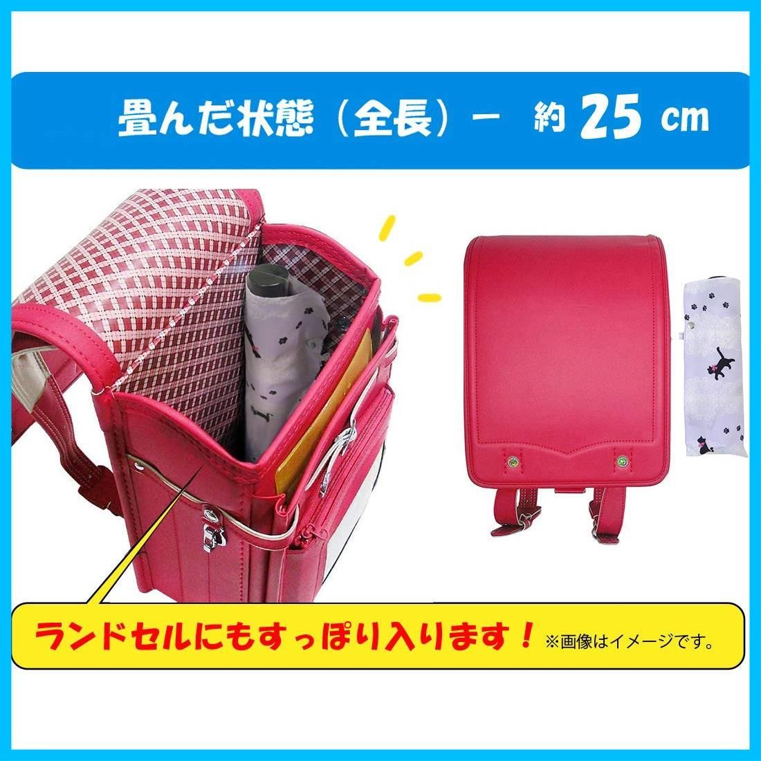 パープル 猫とボーダーレース