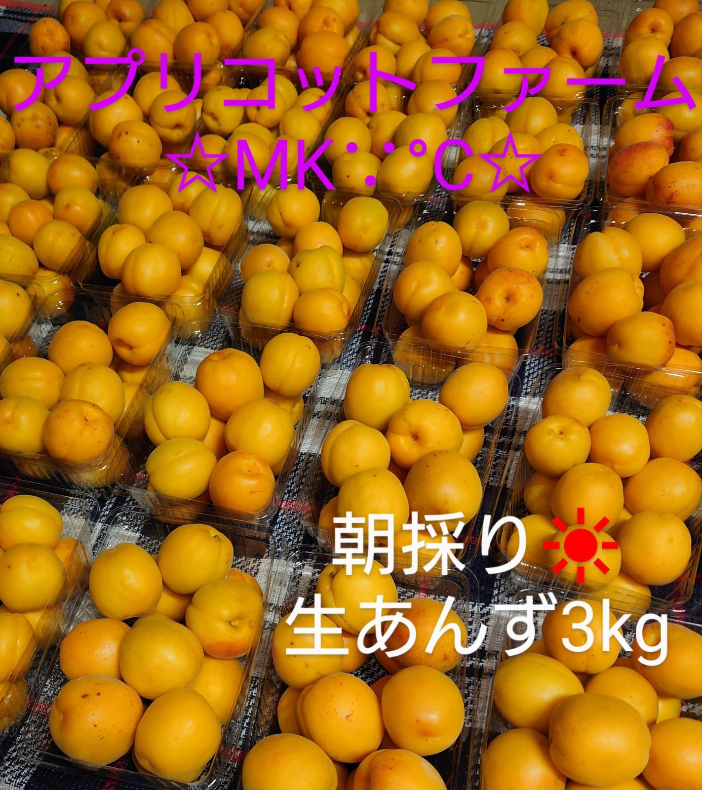 取扱店舗限定アイテム 7/2 夕方採取 選別品 上もの 生杏 大実 約3キロ