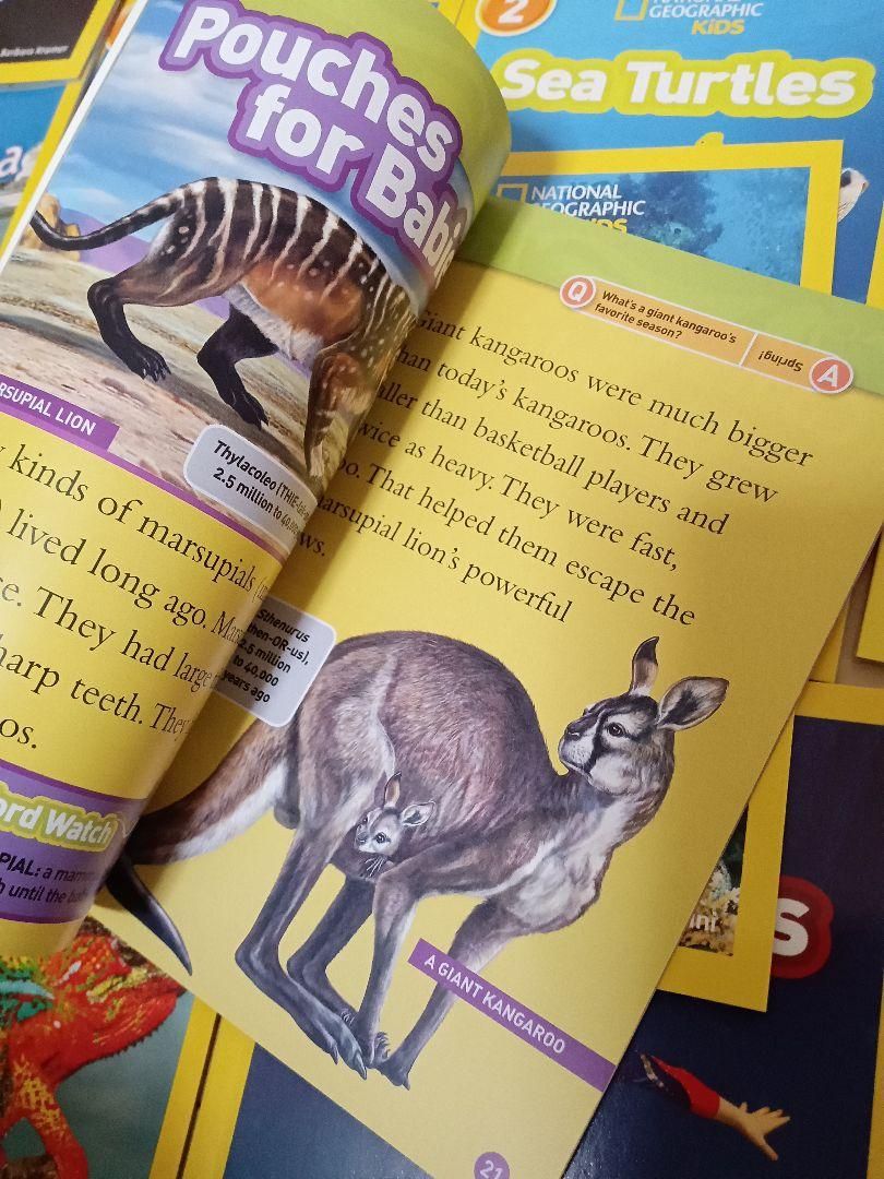 【現金特価】 最新41冊☆NATIONAL GEOGRAPHIC KIDS ReadersL2 - メルカリ 絵本・児童書