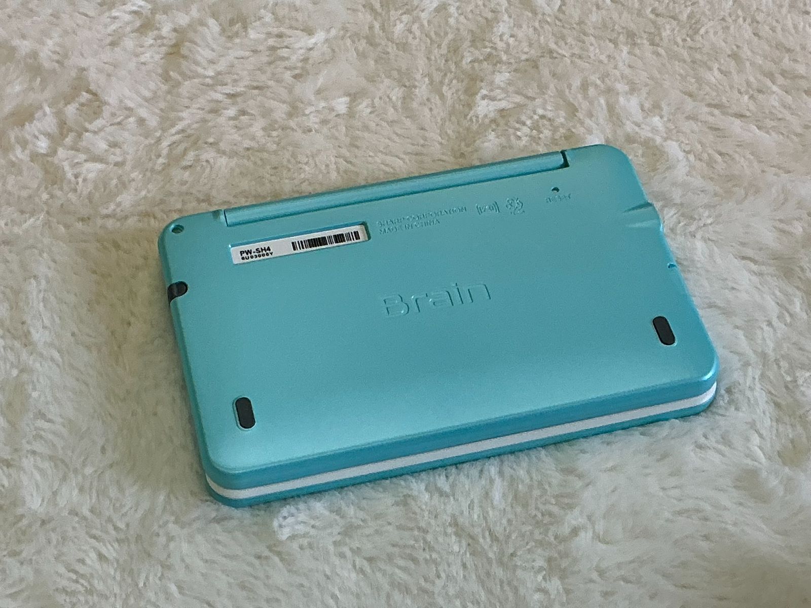 Brain PW-SH4-G