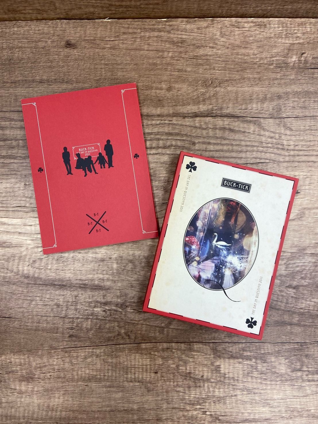 THE DAY IN QUESTION 2011 初回限定盤 DVD 櫻井敦司 BUCK-TICK