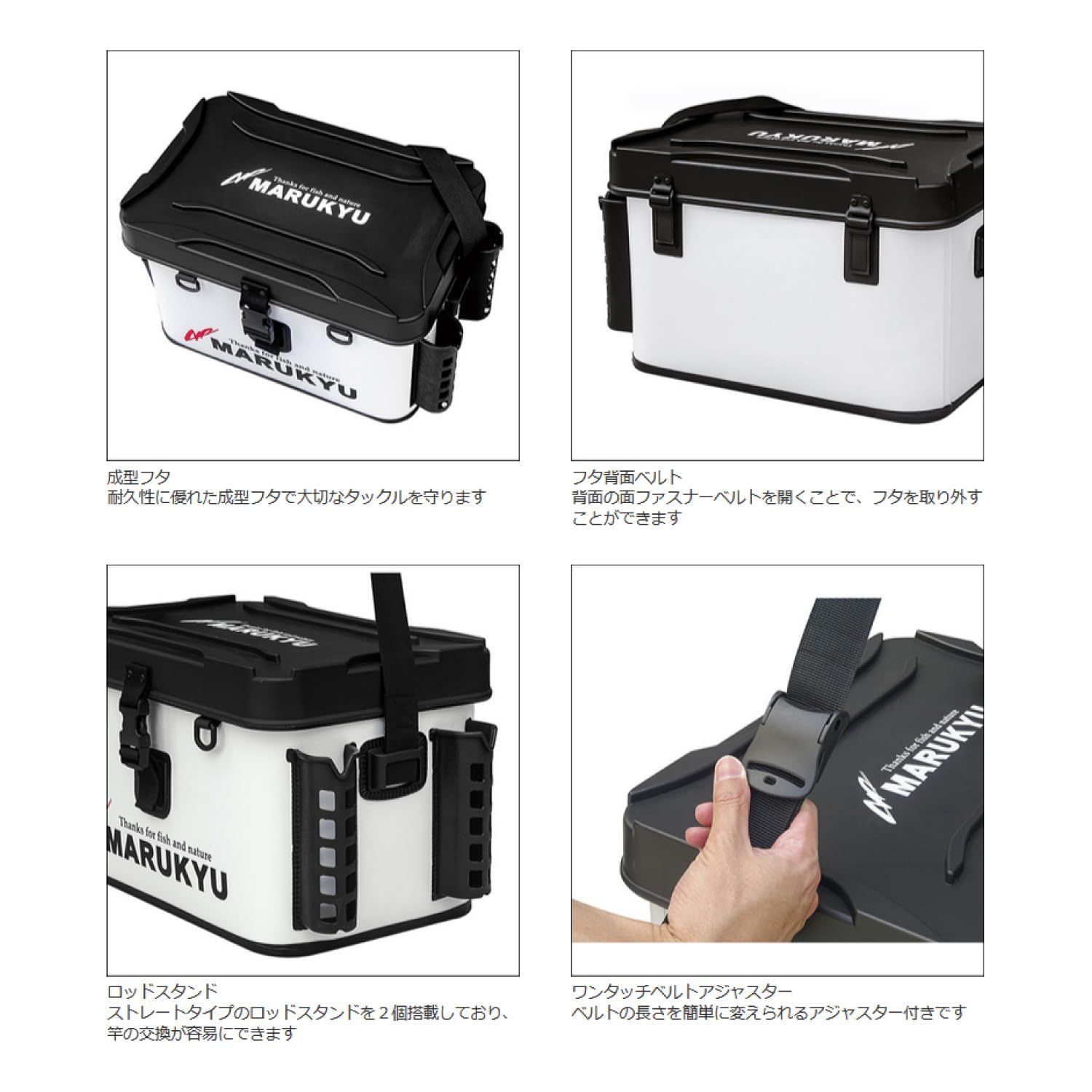 マルキュー Marukyu