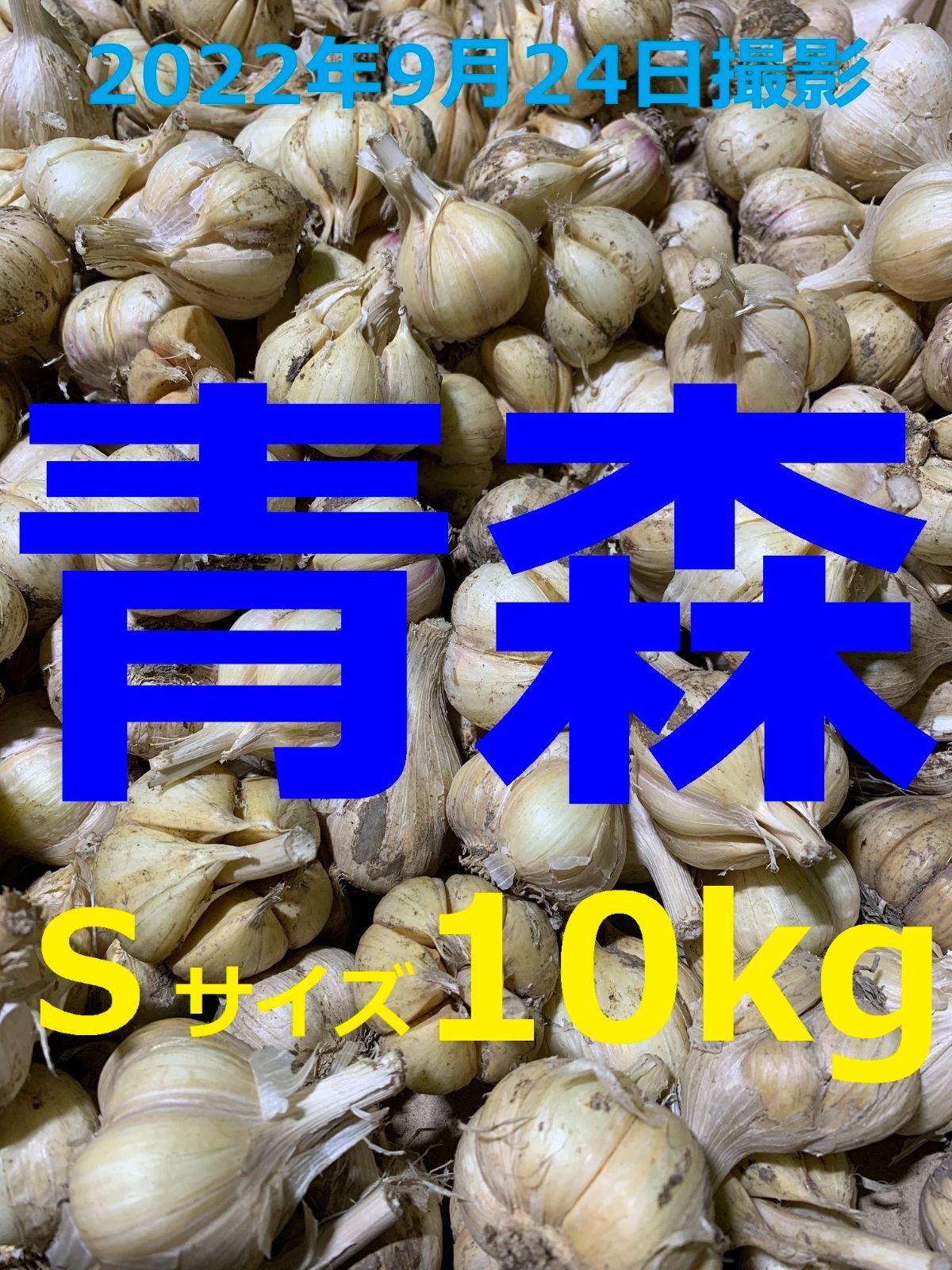 【上級品】青森県倉石産にんにく福地ホワイト六片種 Lサイズ 10kg