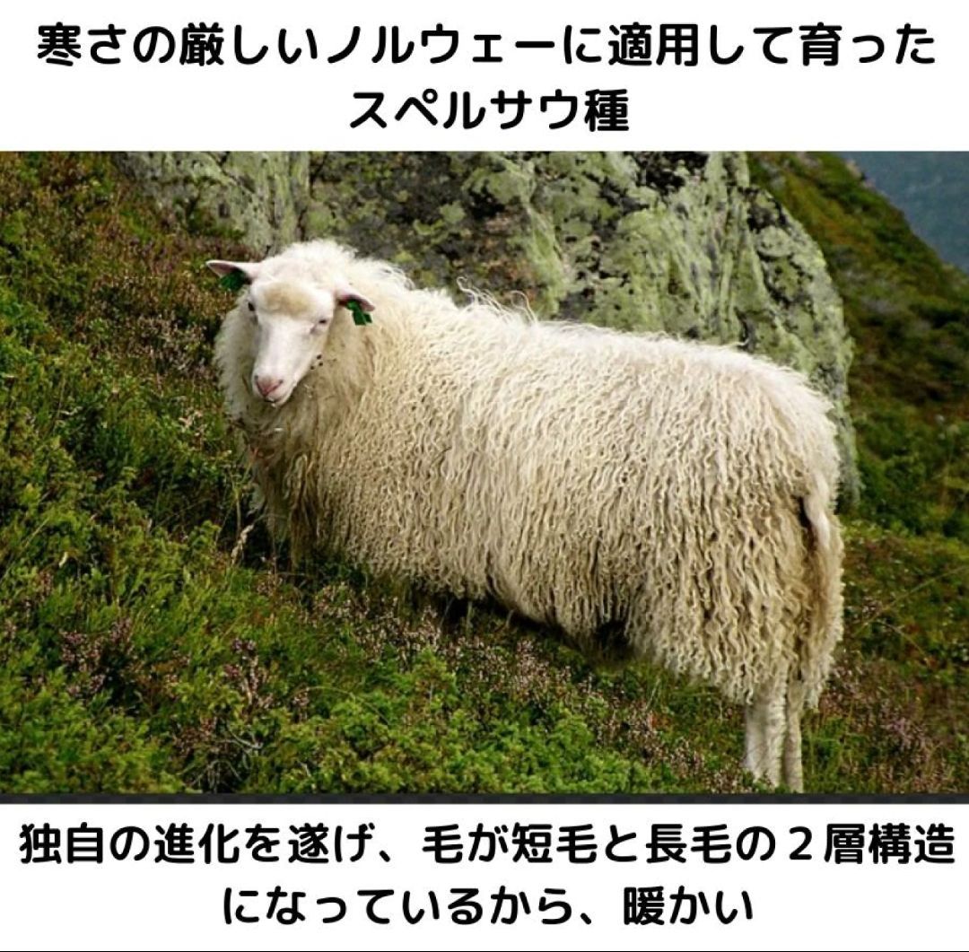 ラグ 羊 ひつじ 本物 シープスキン クッションカバー ラグ 羊 ひつじ 本物 シープスキン クッションカバー ラグ 羊 ひつじ