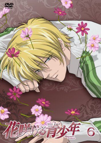 【】花咲ける青少年VOL.6 [DVD]