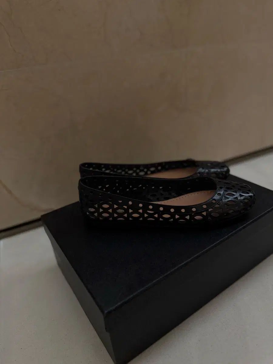 バレリーナ フラット