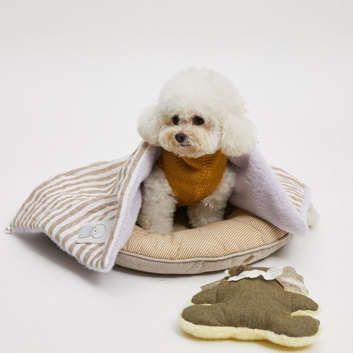louisdog