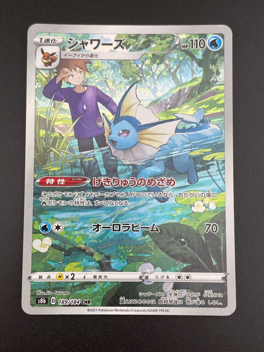 レア！　ポケモンカード ファンクラブ　リニューアル　申込書　2002 レア！ ポケモンカード ファンクラブ リニューアル 申込書 2002