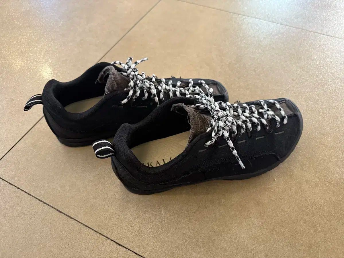 フーディーモデル