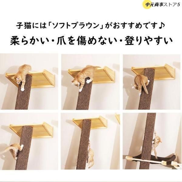 ☢ 登り