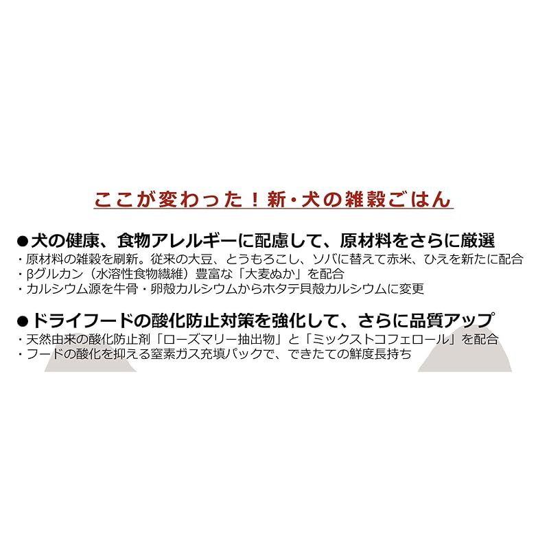 2020年リニューアル版