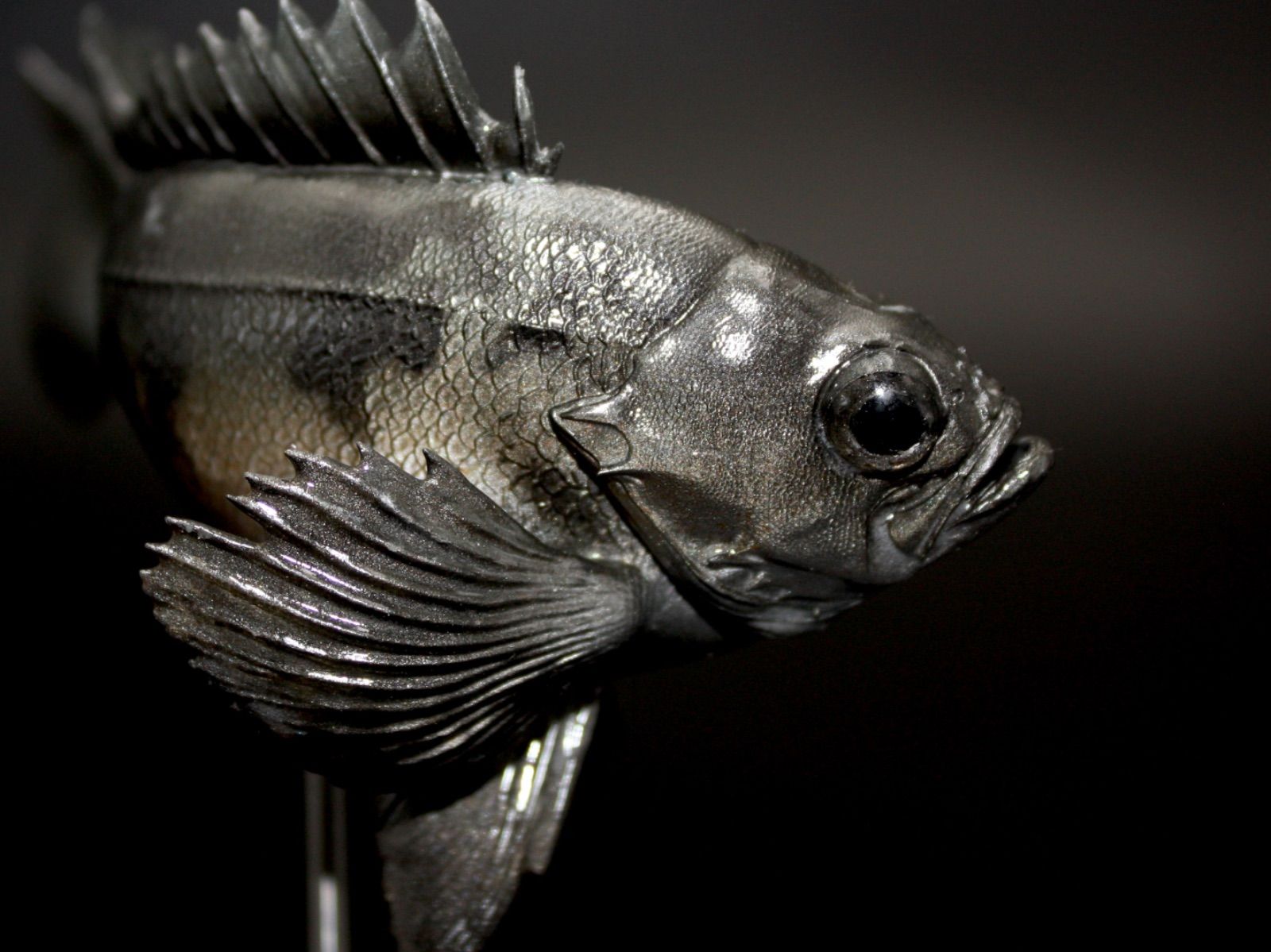 メバル(青) フィギュア　魚剥製　剥製　レプリカ　メバリング　アジング　釣り メバル(青) フィギュア 魚剥製 剥製 レプリカ メバリング