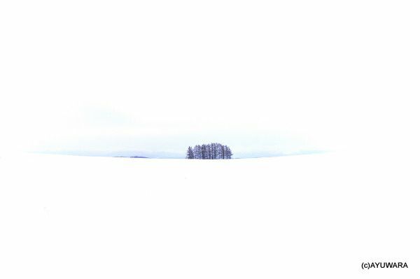 インテリア 額入り