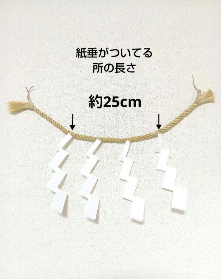 約50cm
