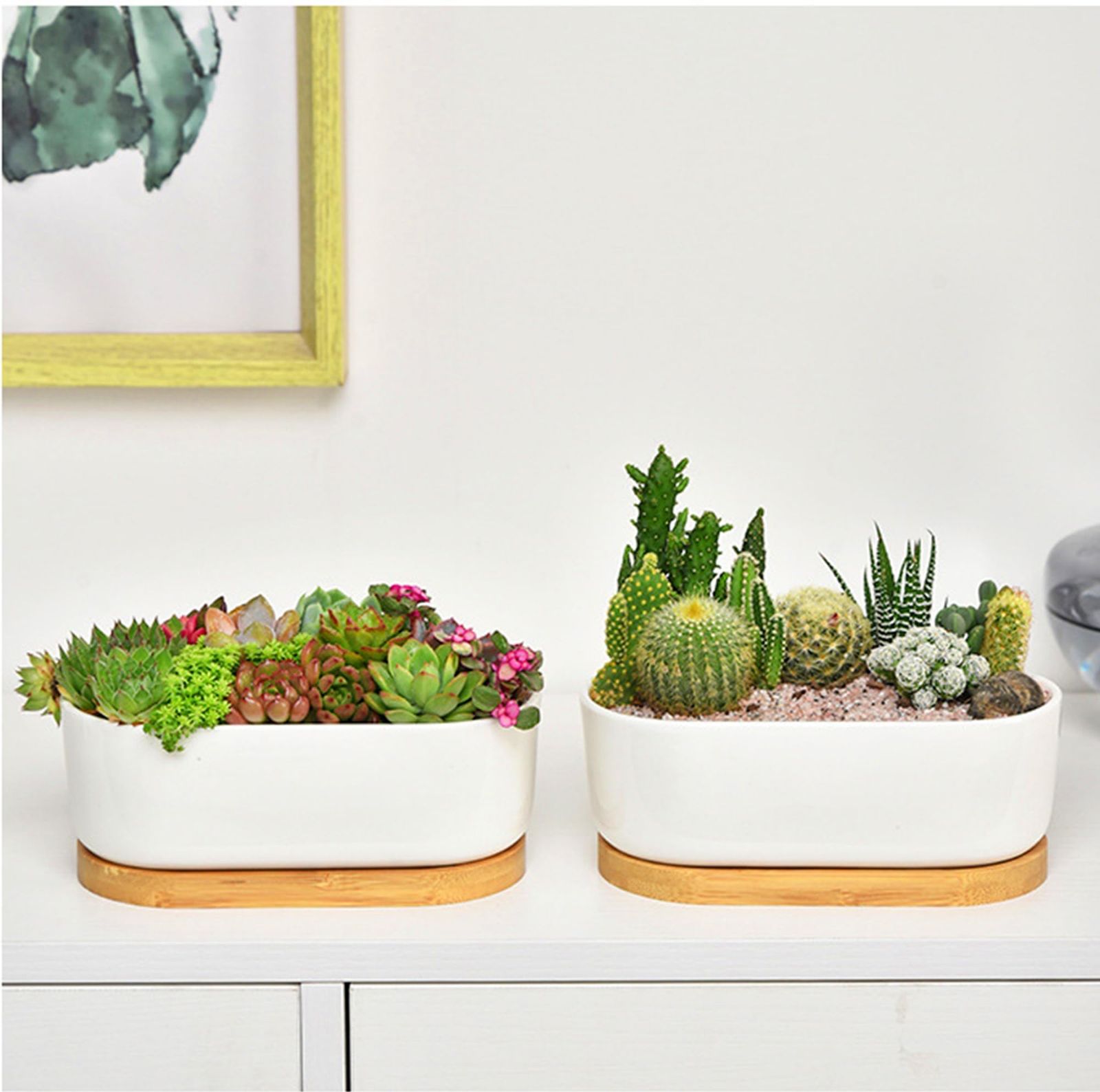 植木鉢 2個セット 多肉植物鉢 陶器鉢 多肉植物ポット 楕円形サボテン鉢