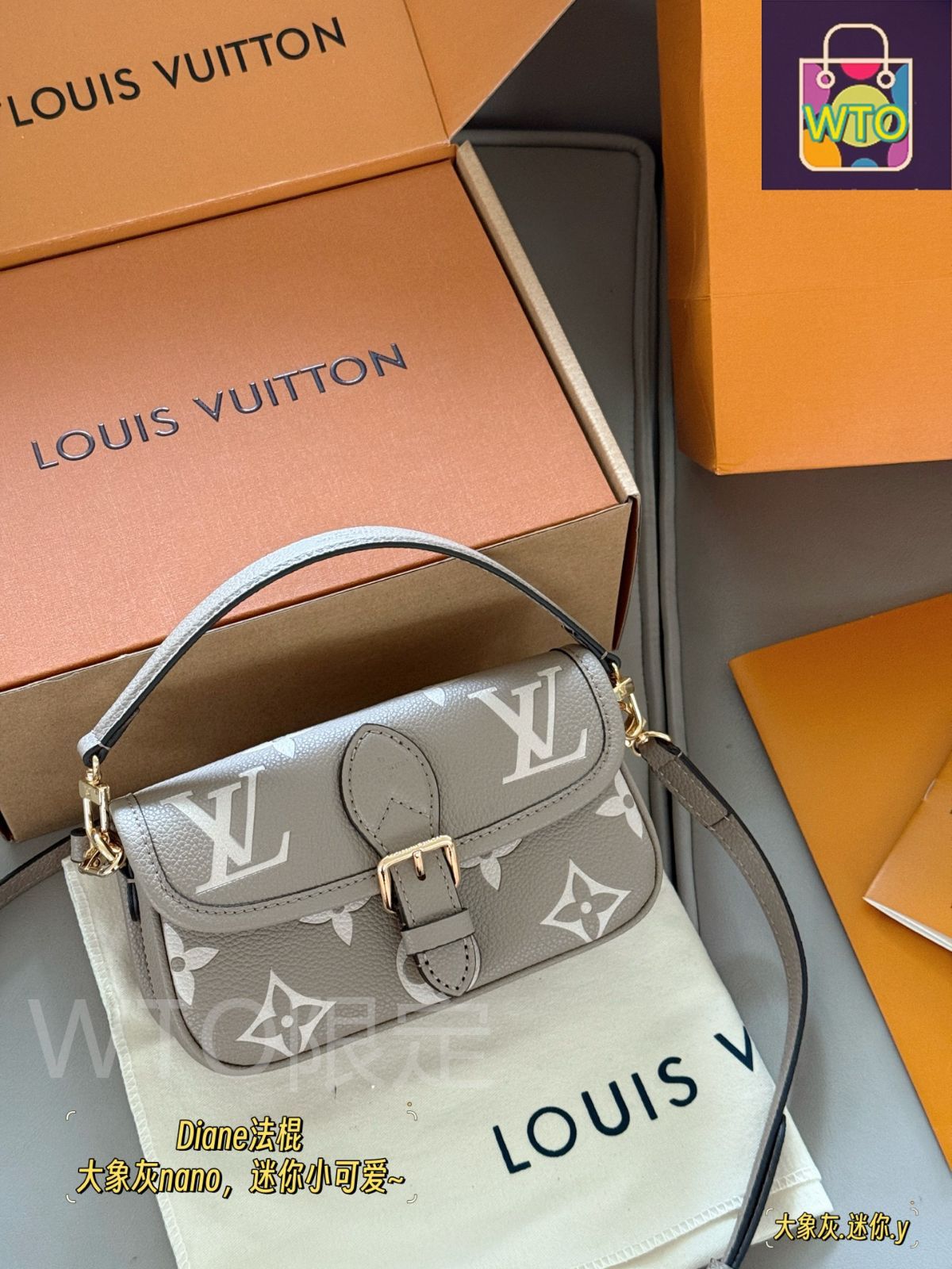 今日 Louis Vuitton ルイ ヴィトン ダイアン ナノ バッグ エレファントグレーの超小型可愛らしいデザイン-WTO輸入2