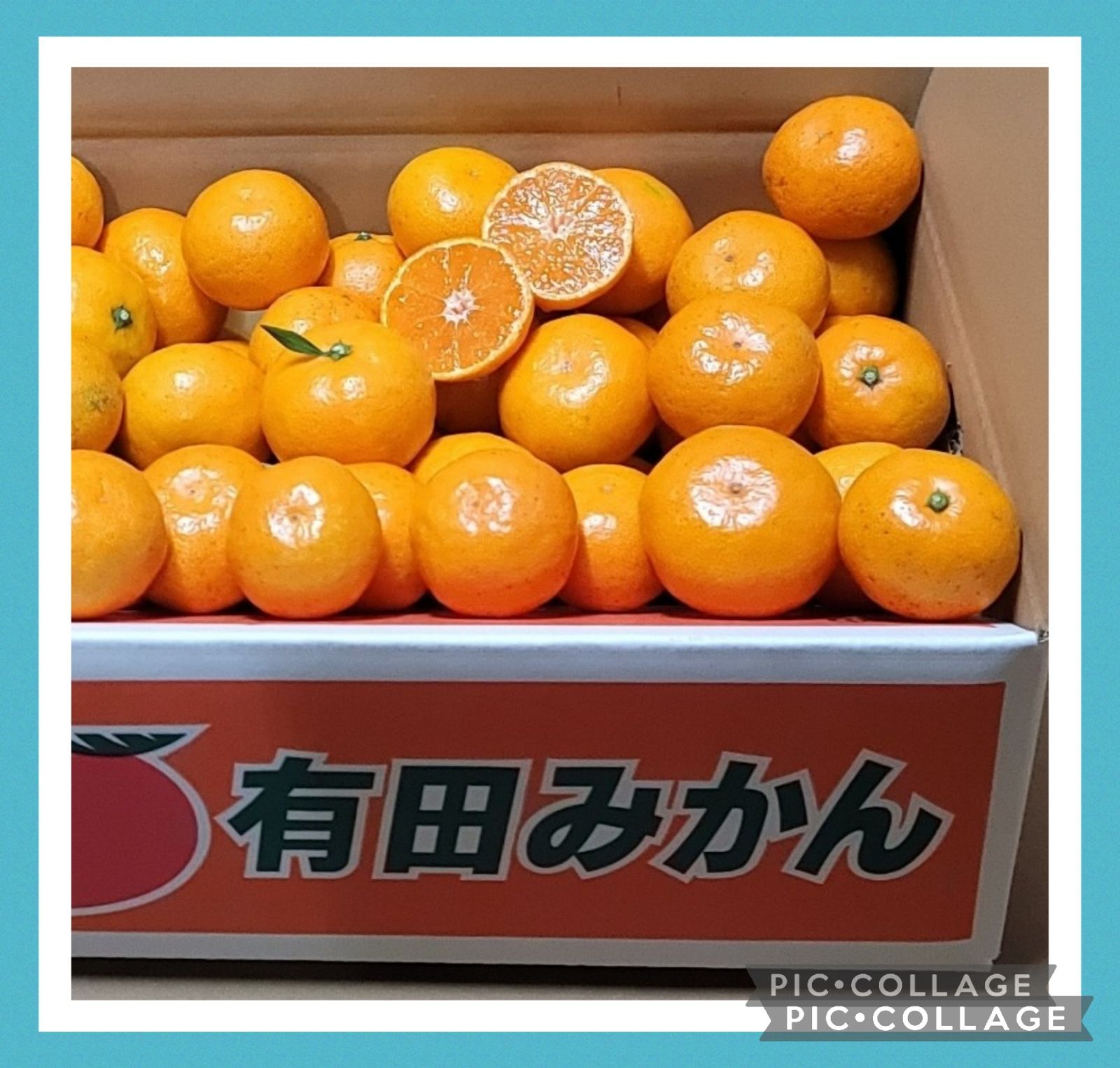 有田みかん【小粒小玉】5kg（箱込）