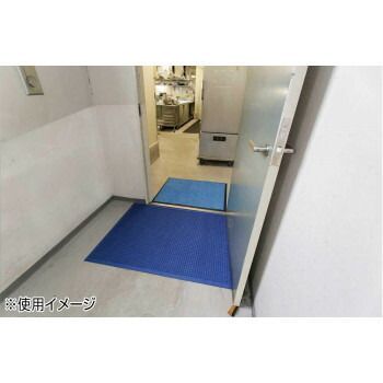 インドアマット ウォーターホースT 116×88cm 青