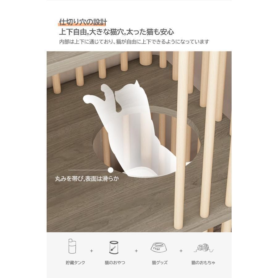 保護