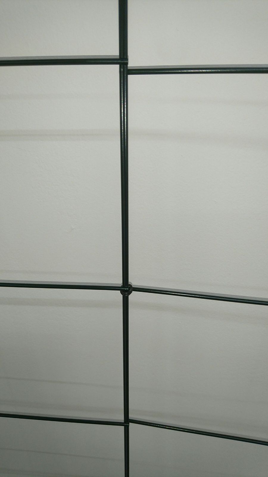 つるバラフェンス