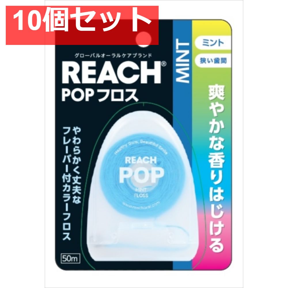 リーチ ポップフロス ミント 10個セット