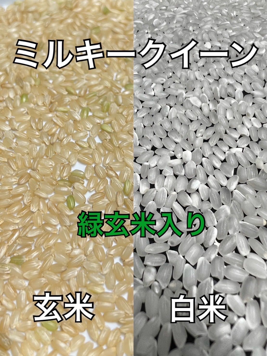 人気特価 新米 令和4年 産 ミルキークイーン 玄米30キロ 淡路島 小分け