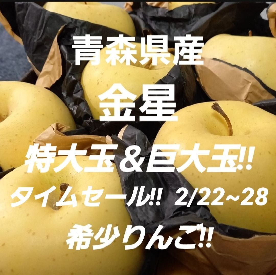 ★期間限定★青森県産 金星 希少 りんご 特大＆巨大玉 家庭用 6~8玉 ⑧