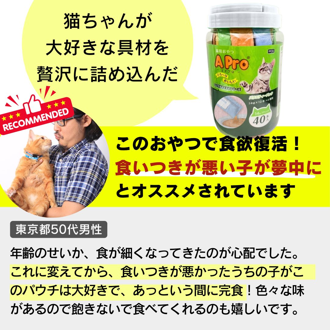 A pro エイプロ 猫用おやつ かつお味 まぐろ味 14g×40本 6個セット ウェットフード キャットフード 水分補給 トッピング 大容量 お徳用 多頭飼い 子猫 成猫 シニア猫 高齢猫 地域猫 保護猫 WWW_SUPERTOOLSSHOP_NL
