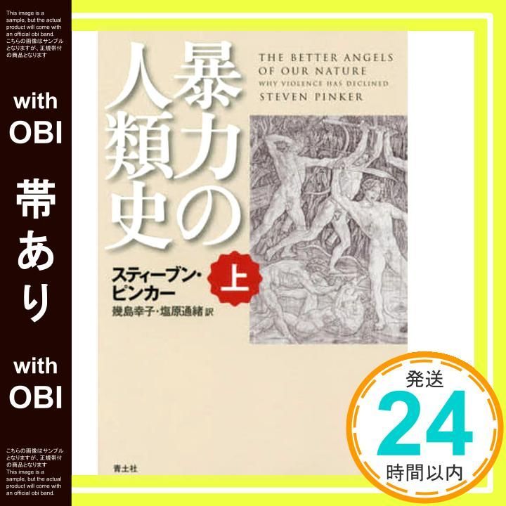 ⚠️表紙など傷、ヨレあり「暴力の人類史」 上下巻 スティーブン・ピンカー 暴力の人類史 上巻 / ピンカー，スティーブン【著
