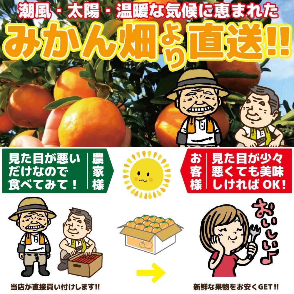 愛媛みかん（7日以内発送）外なり極早生愛媛みかん箱込10kg+保証分500g ※沖縄・離島・北海道は発送不可