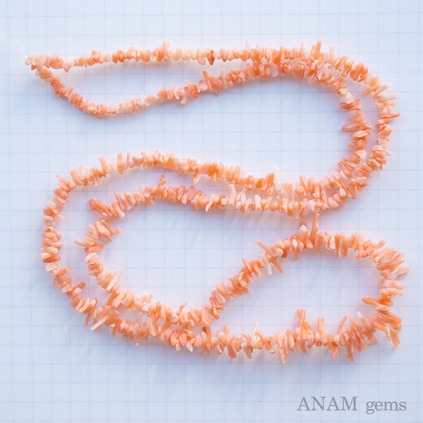 天然大海綿 クリーム色 約15cm 天然大海綿 クリーム色 約15cm