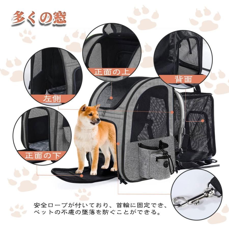 小型犬