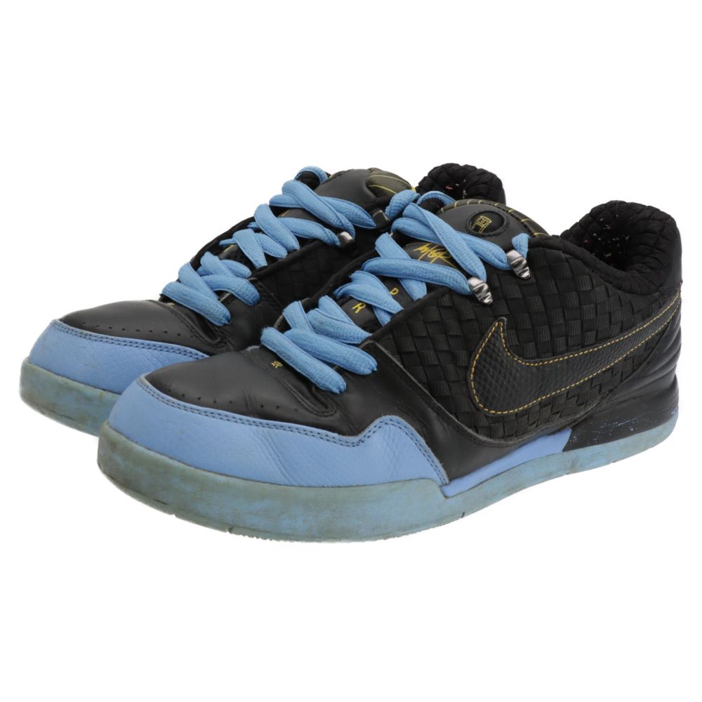 NIKE SB (ナイキエスビー) 【観賞用 2007年製】HAT ROD ティンカー