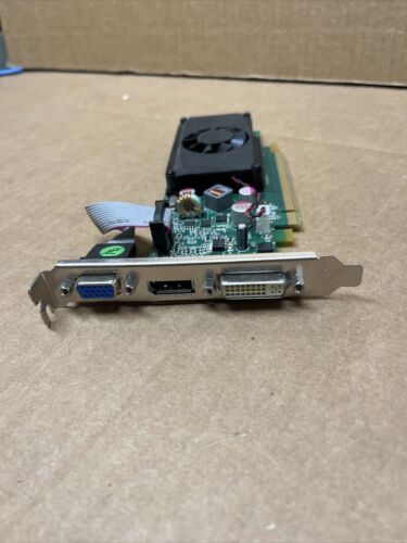Jaton NVIDIA Gece 210 512MB DDR2 グラフィックス カード PX210-LX