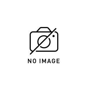【新品・2営業日で発送】アクティブ 【必ず購入前に仕様をご確認下さい】1117038B-1 サブフレームBKリペアP右 ZRX1200 DAEG
