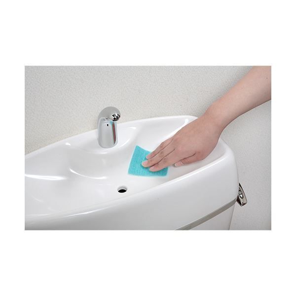 ピカピカトイレ直洗い H-08