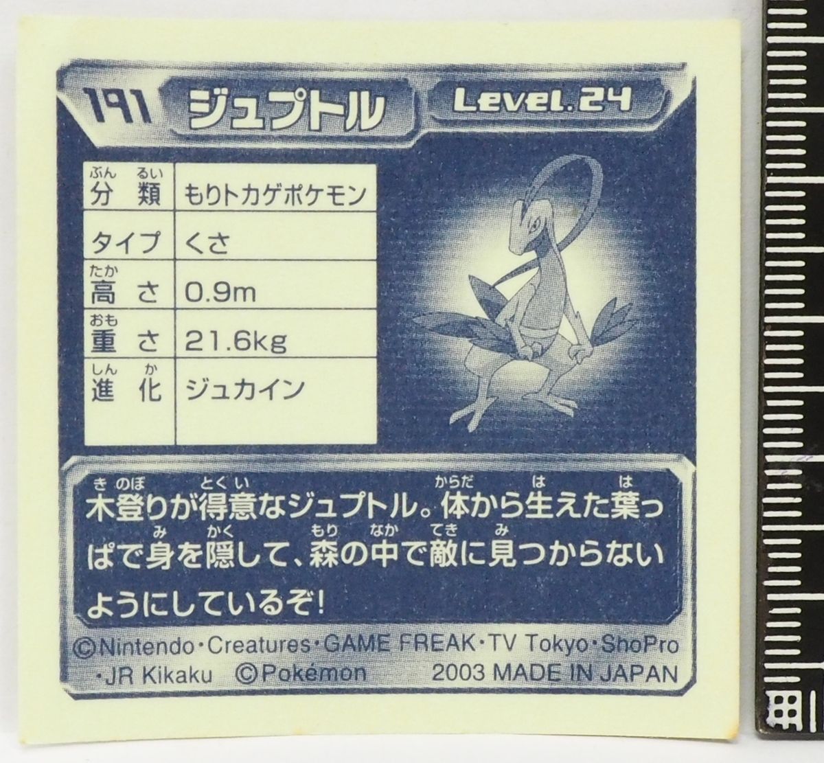 ポケモン　草タイプ　まとめ売り　21体 ポケモン - ポケモン セブンイレブン クリアファイル 草タイプの