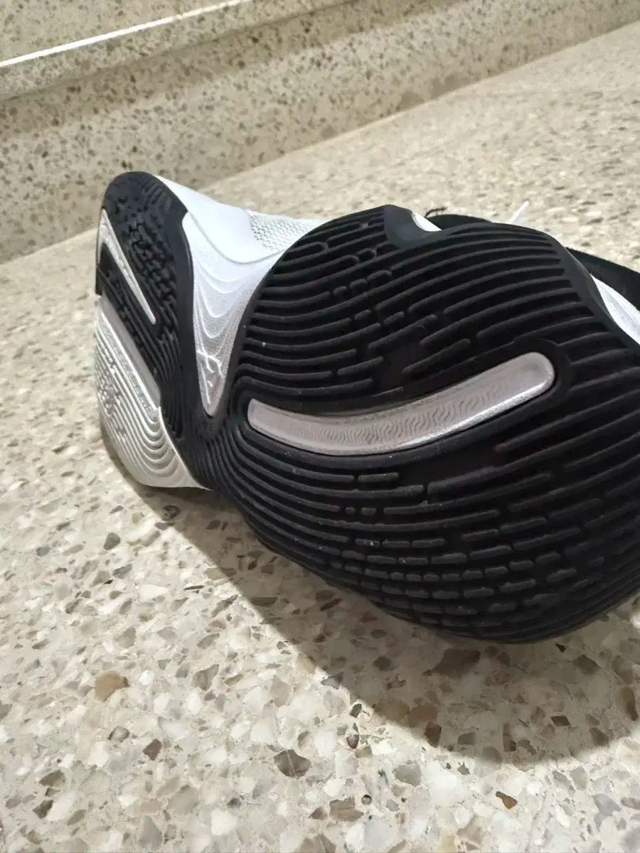 送料無料・30日間返品無料。 NIKE ナイキ Giannis ヤニス 不道徳 バスケットシューズ 260