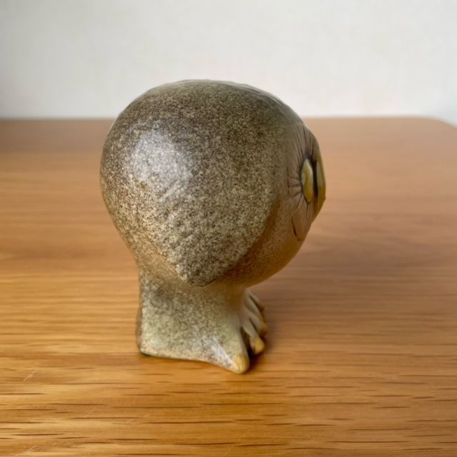 小 OWL