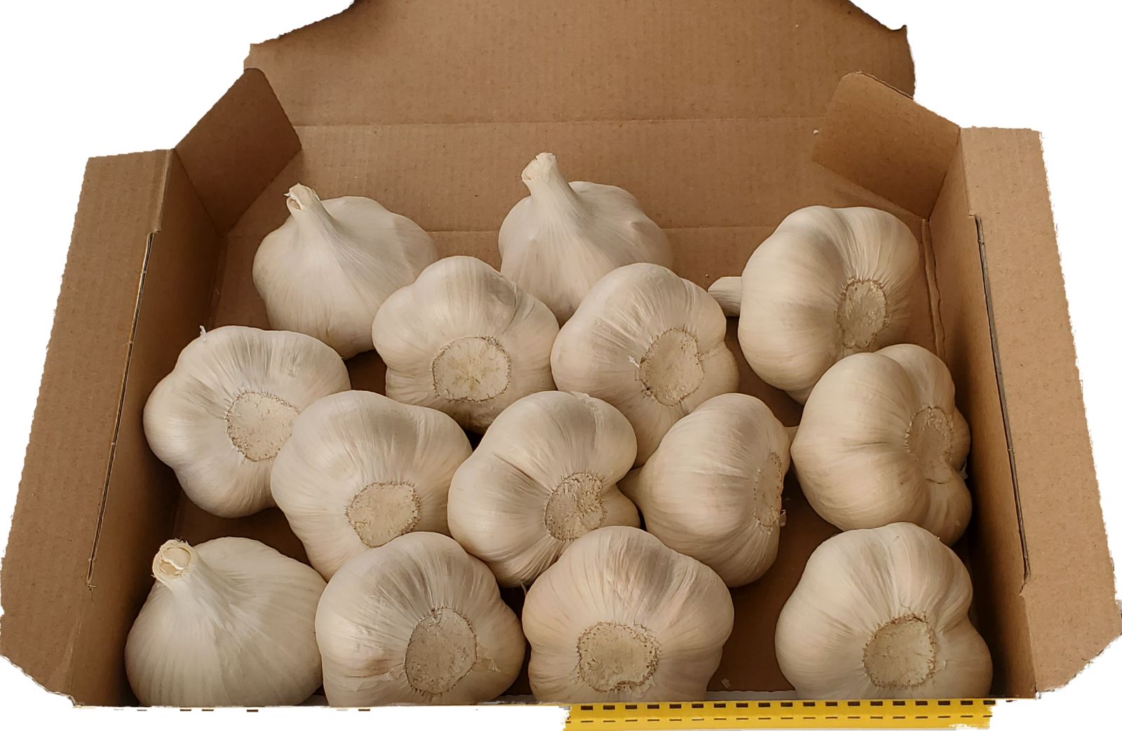 青森県産 乾燥にんにく 5kg 最安挑戦 にんにく 青森 5kg バラ 皮剥け無し 正品 送料無料 (500g×10