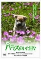 ハラスのいた日々 DVD