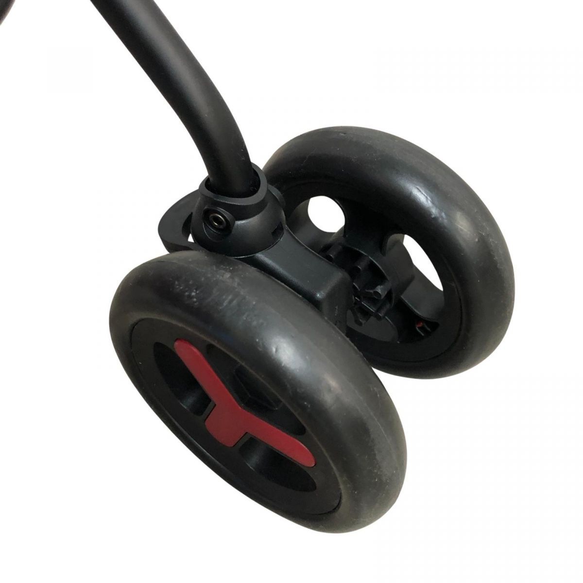 レッド 超小型犬