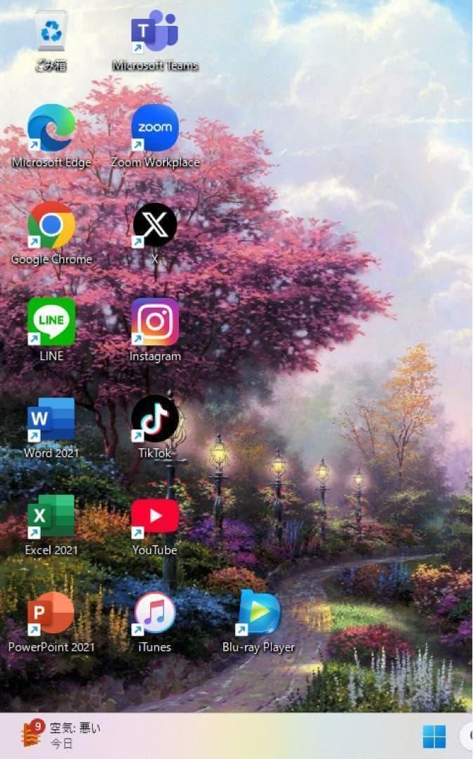 Vaioディズニーモデル☘ミッキー＆ミニー☘NVMe256