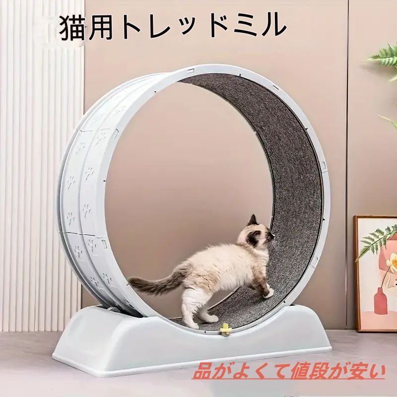 安定 安全
