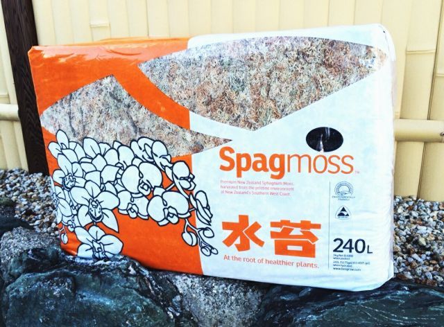 水苔ニュージーランド産Spagmoss約3kg スタンダード パッケージが異なる場合あり 復元容量約240L 遅れ|キャンセル場合あり