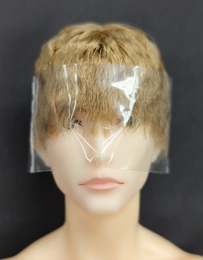 六分の一男子図鑑 ナイン